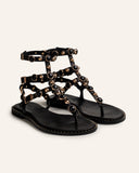 Andromeda Black